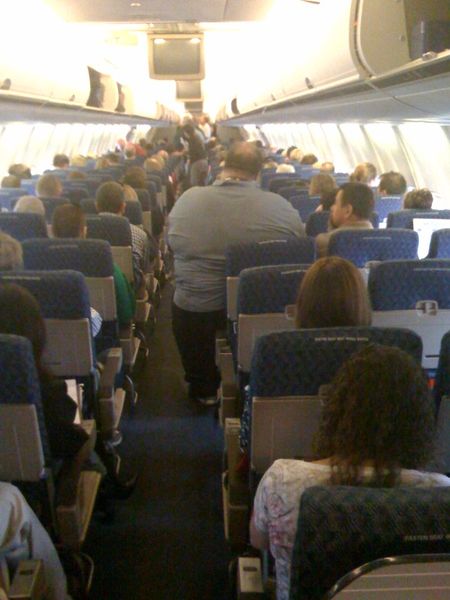 American airline obese guy