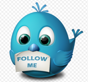 Follow Me Birdy