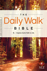 wmns_daily_walk_nlt_cover