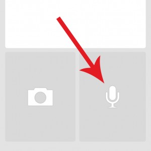 Microphone button